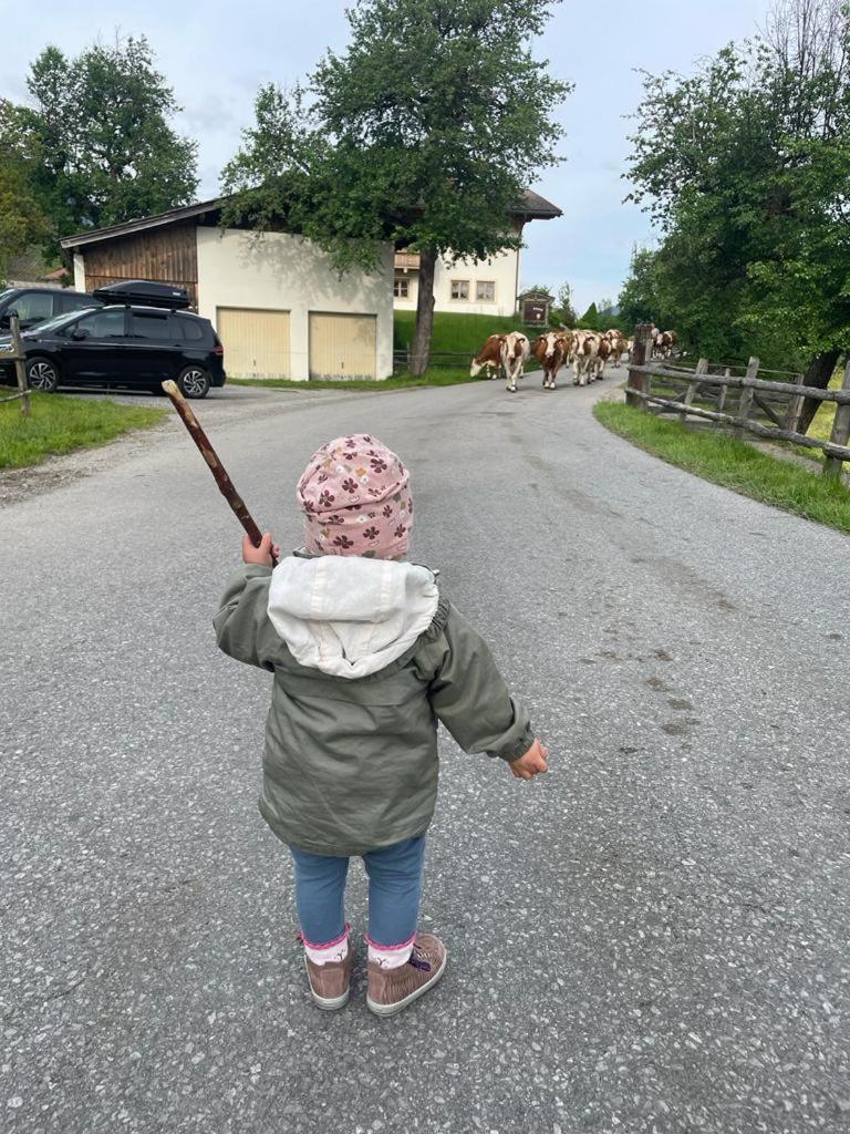Ferienparadies Taxen Sankt Veit im Pongau Εξωτερικό φωτογραφία