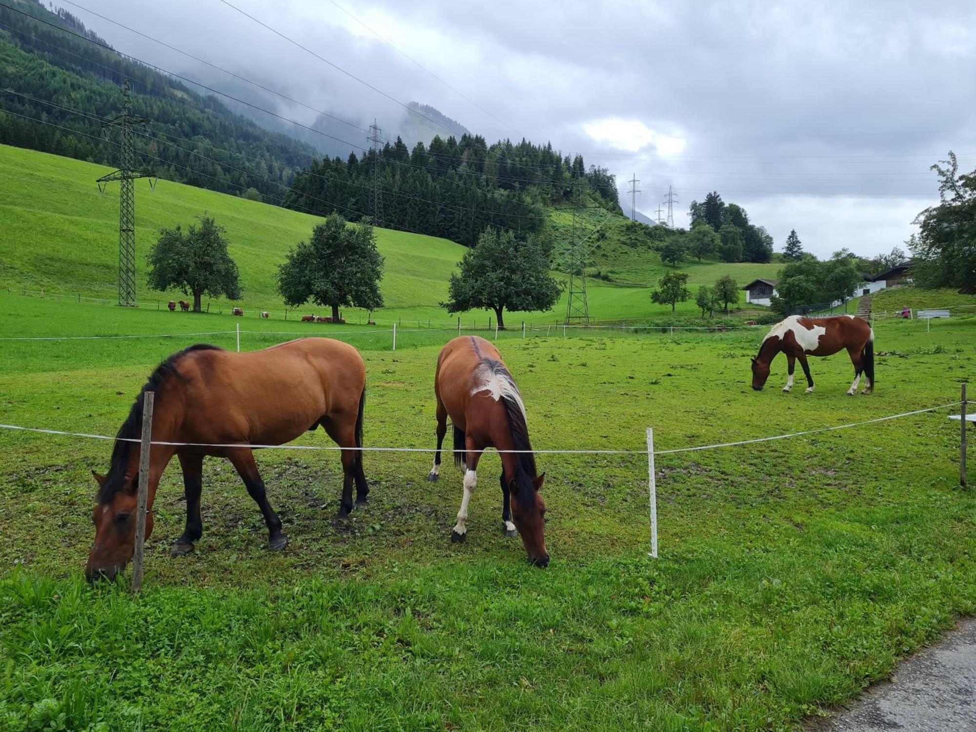 Ferienparadies Taxen Sankt Veit im Pongau Εξωτερικό φωτογραφία
