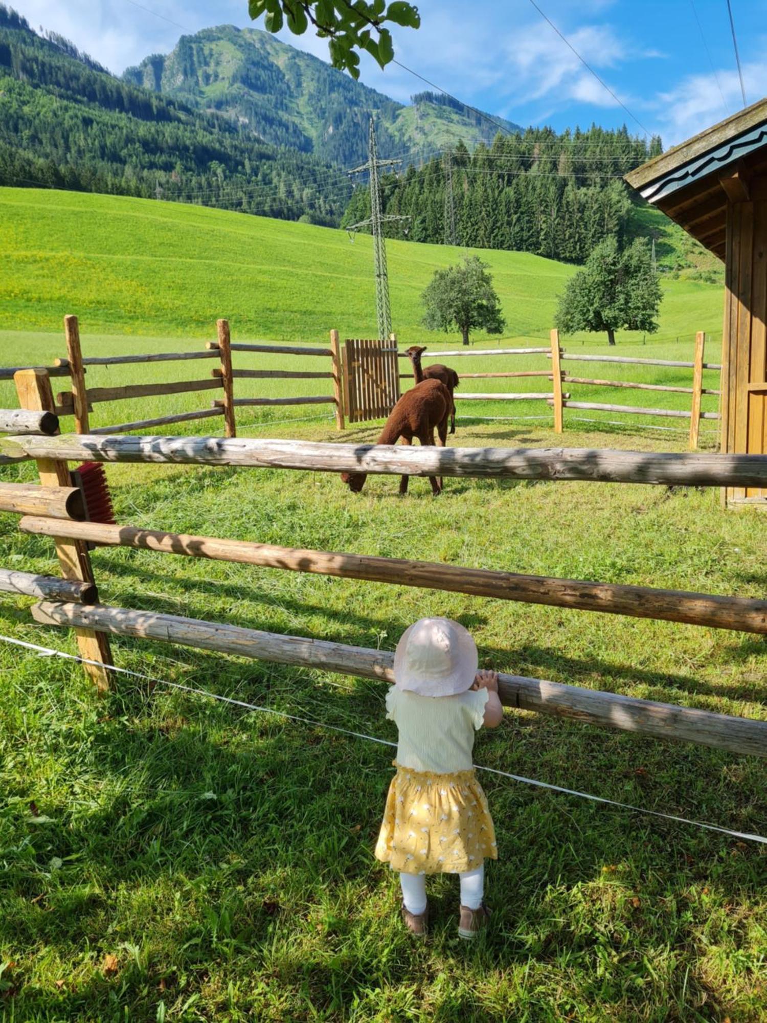 Ferienparadies Taxen Sankt Veit im Pongau Εξωτερικό φωτογραφία