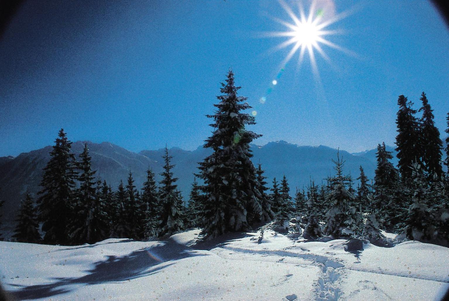 Ferienparadies Taxen Sankt Veit im Pongau Εξωτερικό φωτογραφία