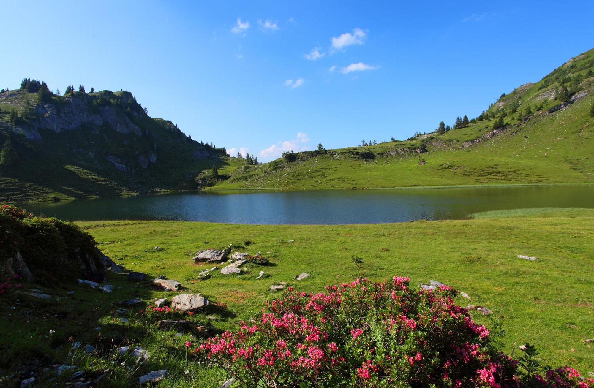 Ferienparadies Taxen Sankt Veit im Pongau Εξωτερικό φωτογραφία