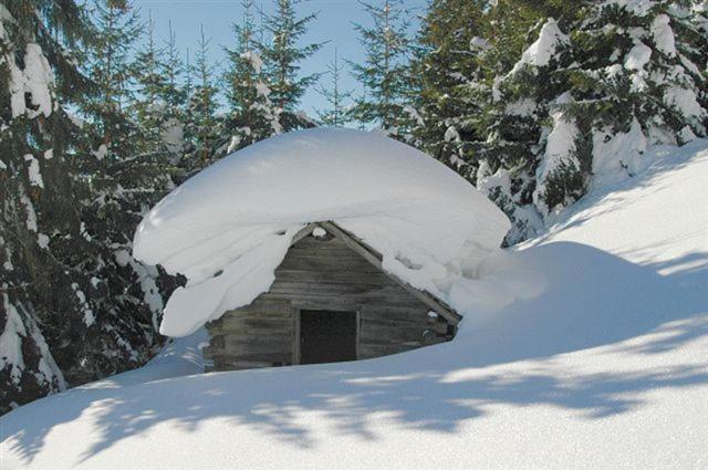 Ferienparadies Taxen Sankt Veit im Pongau Εξωτερικό φωτογραφία